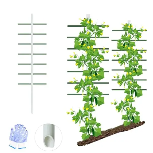 Best Trellis For Raspberries - 2026 Reviews - Yard Owner