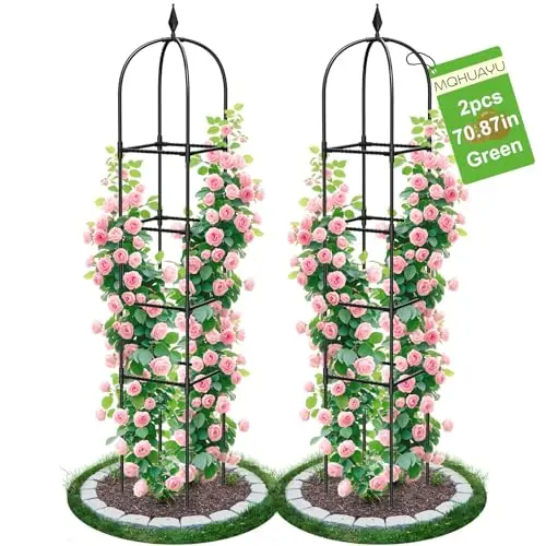 Best Trellis For Roses - 2026 Reviews - Yard Owner
