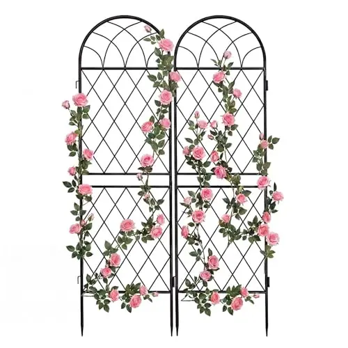 Best Trellis For Roses - 2026 Reviews - Yard Owner